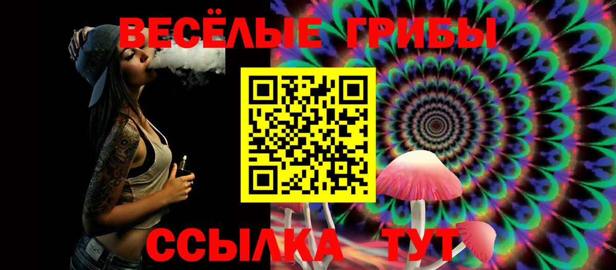 Салехард  Псилоцибиновые грибы Cubensis  Вход с VPN  Галлюциногенные грибы MAGIC MUSHROOMS 
